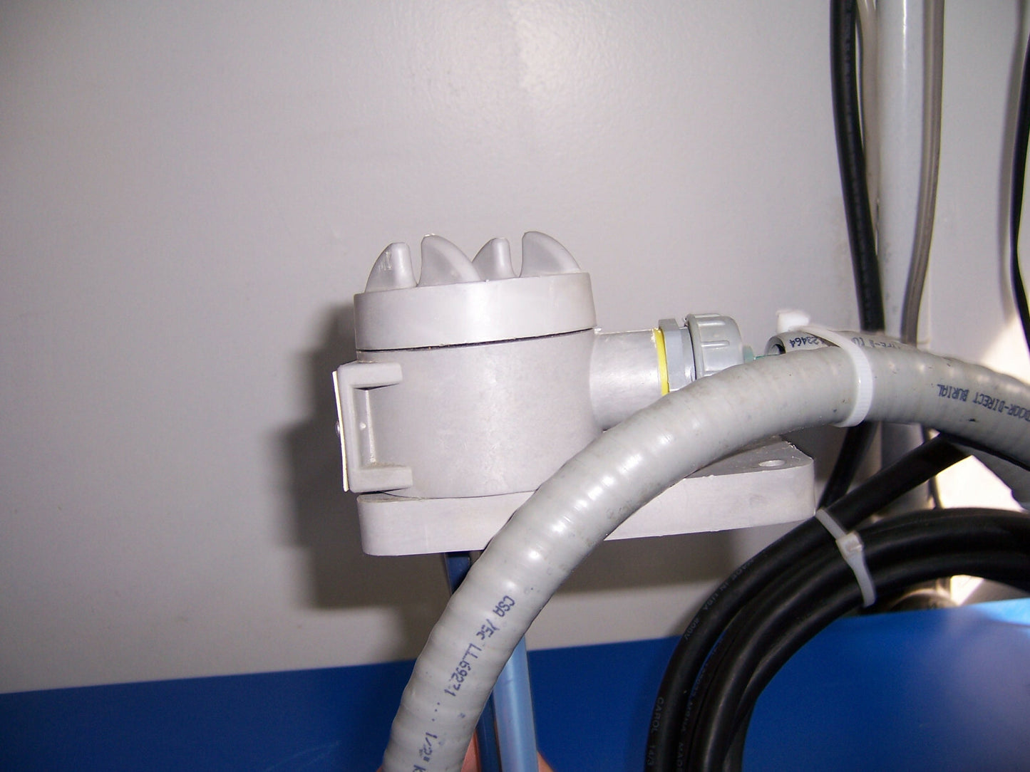 Image #7