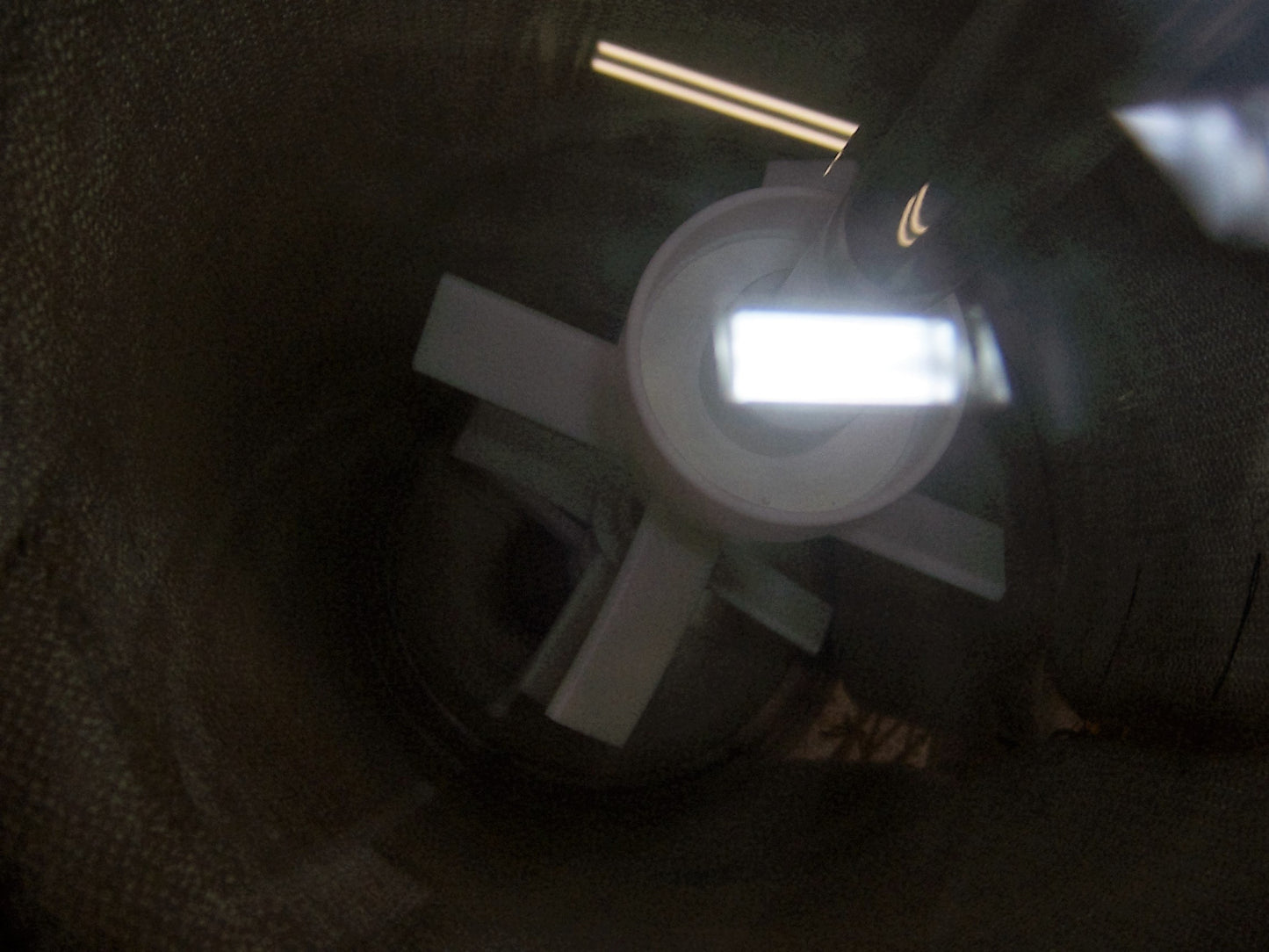Image #7