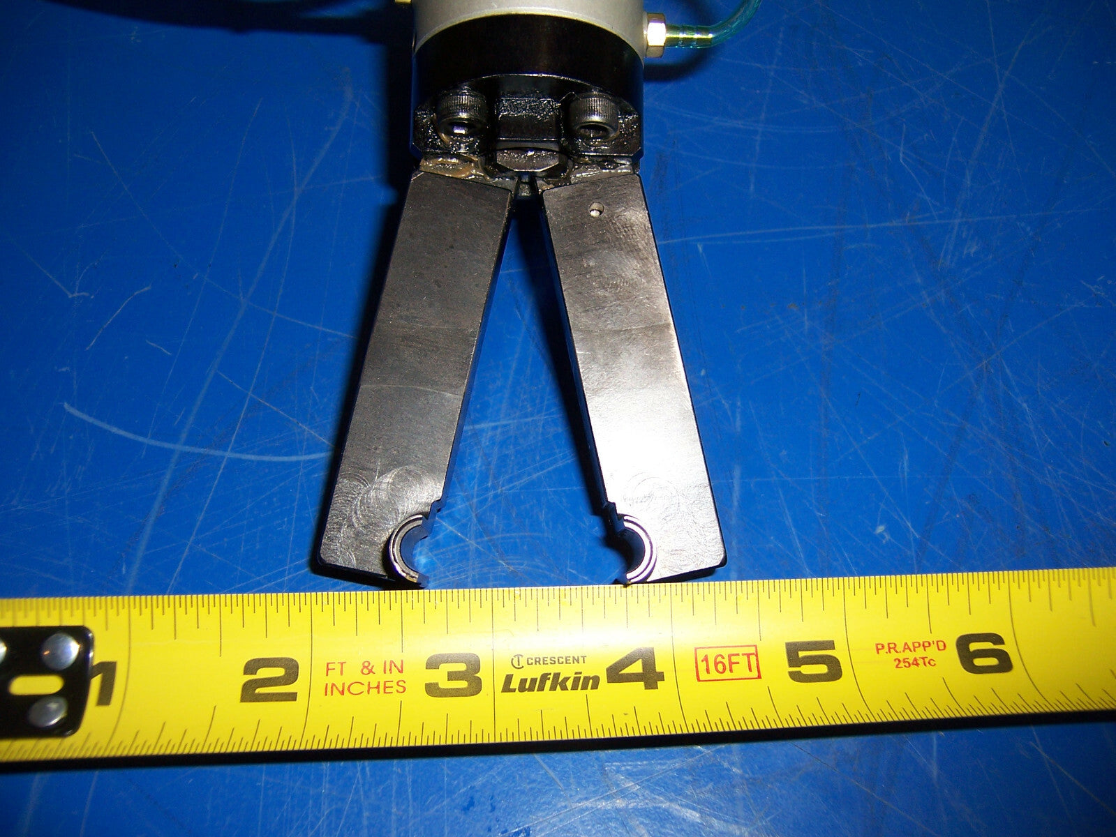 Image #5