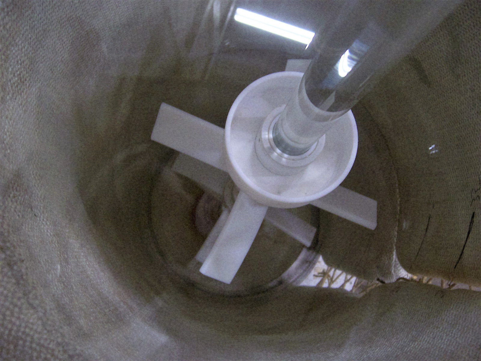 Image #8